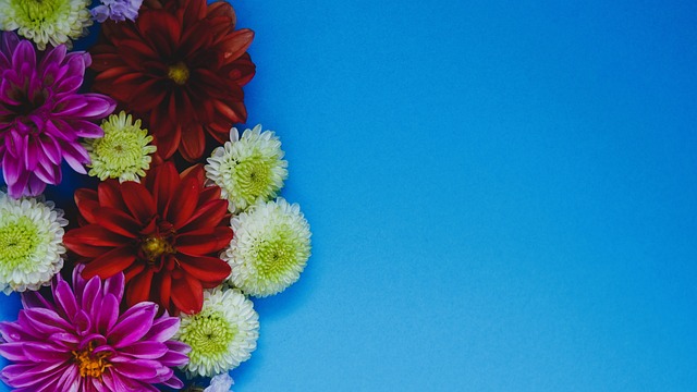 路的推进令 路的推进令