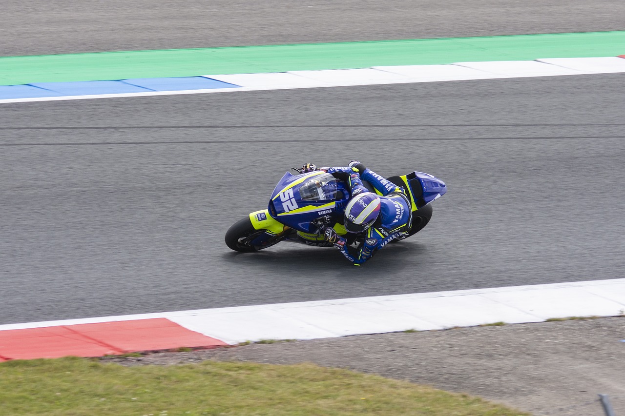 总能给热爱 总能给热爱