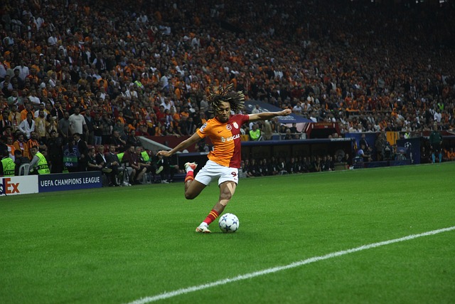 了进攻方式 了进攻方式