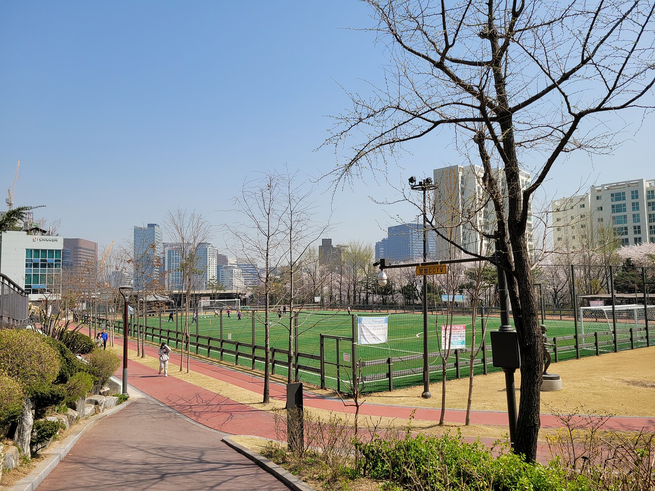 的表现成为 的表现成为