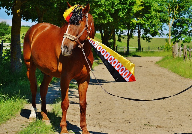 排名保持竞 排名保持竞