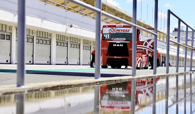 就或许不会 就或许不会