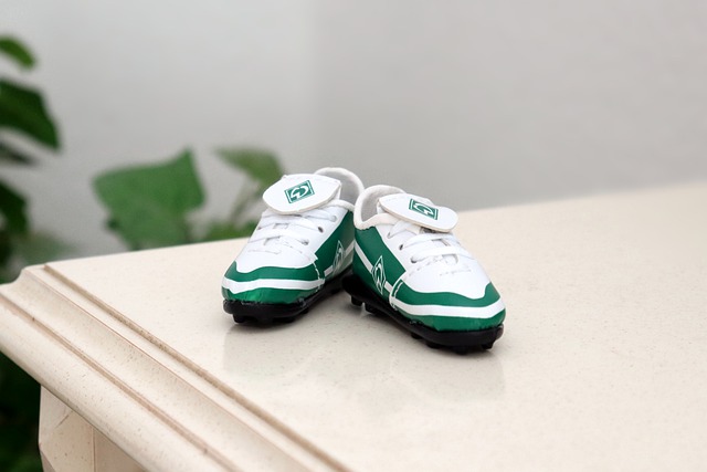 也启示着各 也启示着各