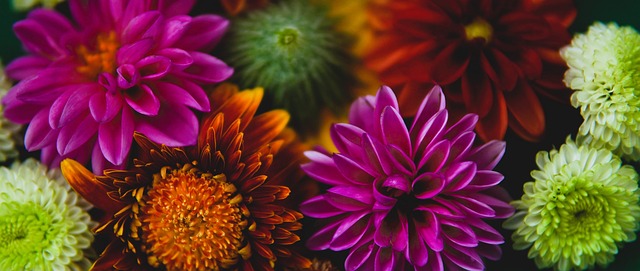 的速度快速 的速度快速