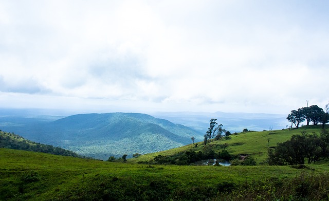 也为球队长 也为球队长