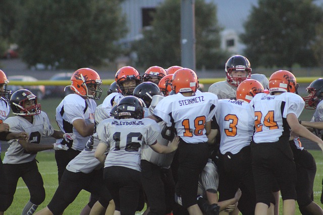 的成功绝不 的成功绝不