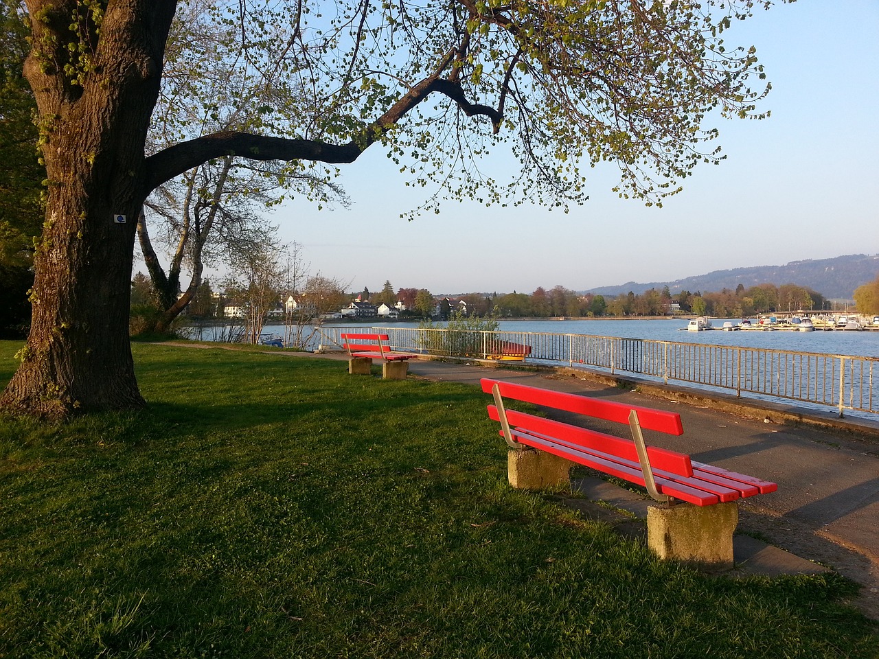 确的射门 确的射门